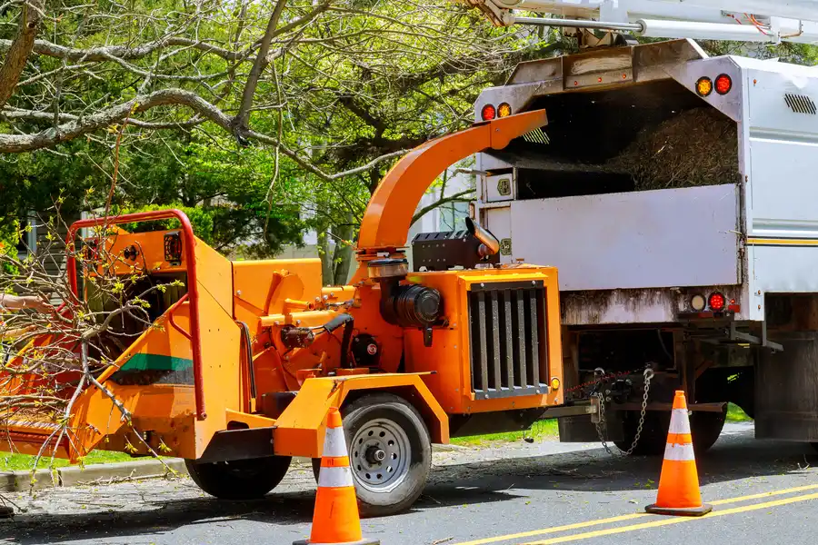 How Excavation Helps After Tree Removal Services Micco, FL How Excavation Helps After Tree Removal Services Micco, FL