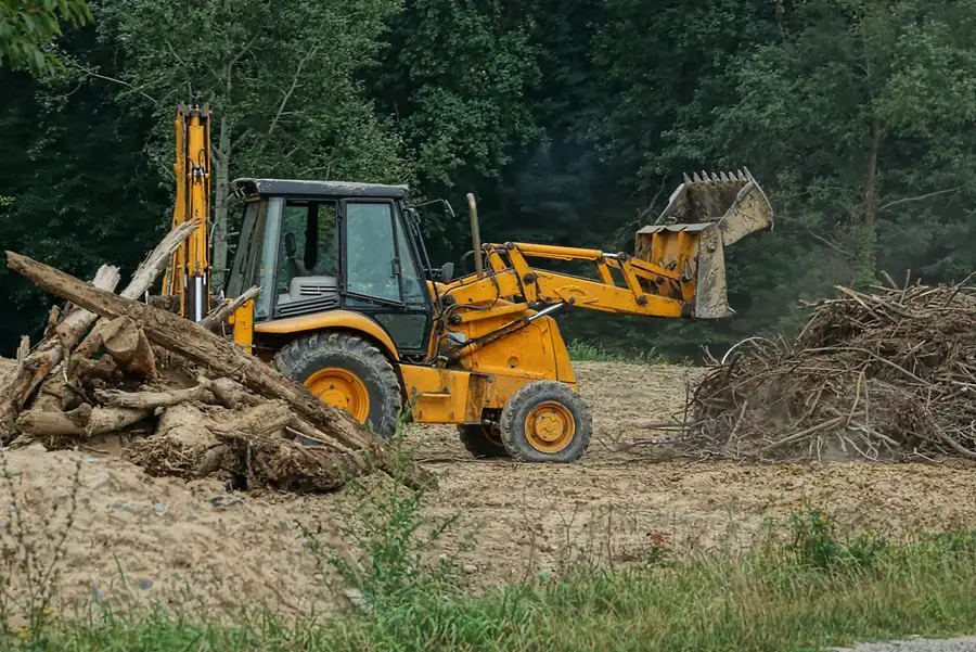 How Proper Land Clearing Prevents Pest Infestation Issues Micco, FL How Proper Land Clearing Prevents Pest Infestation Issues Micco, FL