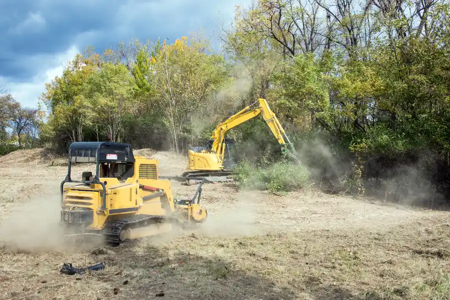 Local Land Clearing Micco, FL Local Land Clearing Micco, FL