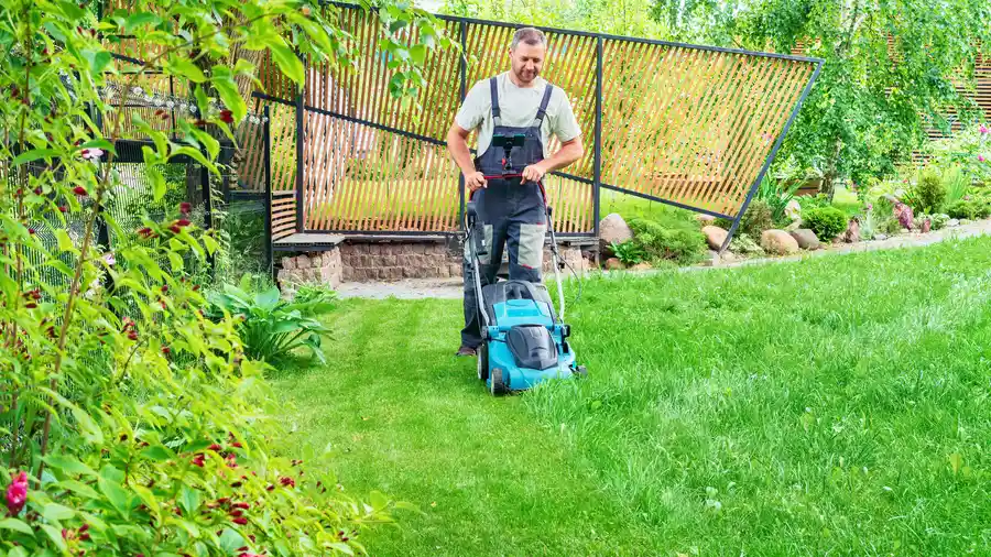 Professional Lawn Mowing Service Micco, FL Professional Lawn Mowing Service Micco, FL