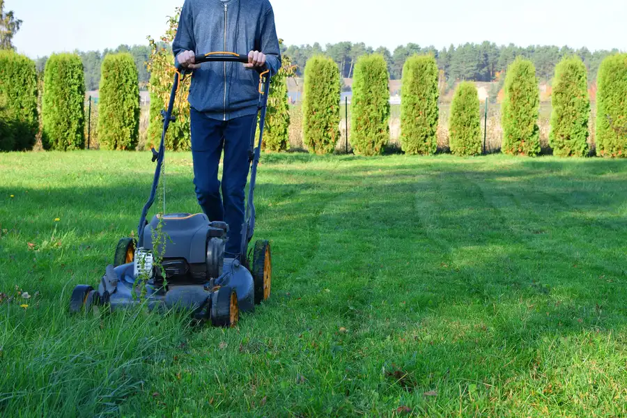 Steps To Prepare Uneven Ground For Lawn Mowing Micco, FL Steps To Prepare Uneven Ground For Lawn Mowing Micco, FL
