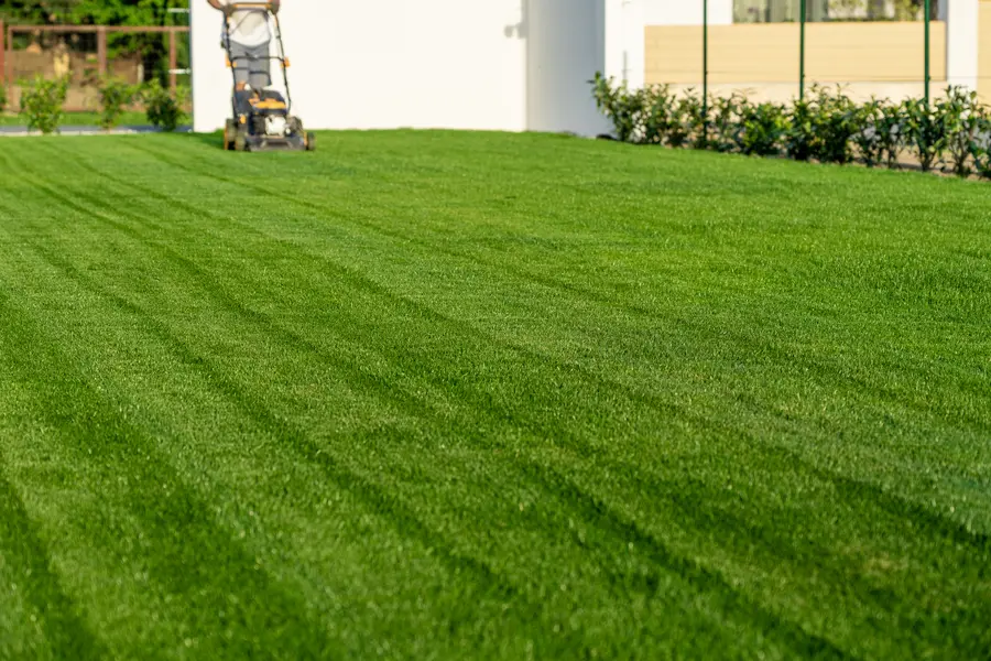 Steps To Prepare Uneven Ground For Lawn Mowing in Micco, FL Steps To Prepare Uneven Ground For Lawn Mowing in Micco, FL