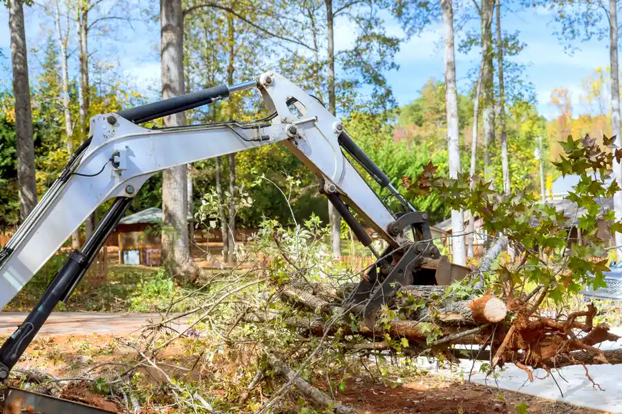 Superior Land Clearing Micco, FL Superior Land Clearing Micco, FL