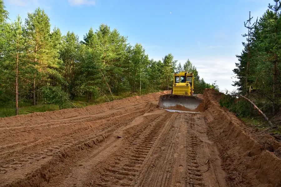 The Importance Of Land Clearing For Site Development Success in Micco, FL The Importance Of Land Clearing For Site Development Success in Micco, FL