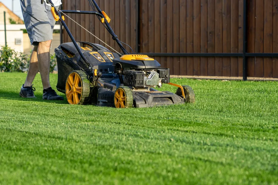 Why Lot Clearing Matters For Lawn Care Efficiency Micco, FL Why Lot Clearing Matters For Lawn Care Efficiency Micco, FL