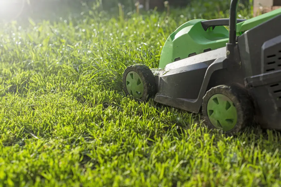 Why Lot Clearing Matters For Lawn Care Efficiency in Micco, FL Why Lot Clearing Matters For Lawn Care Efficiency in Micco, FL